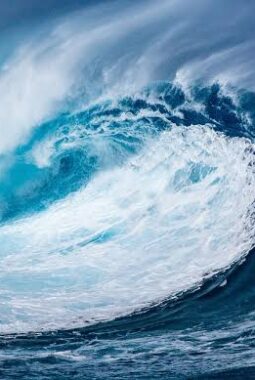 10 Wilayah RI Berpotensi Tsunami Usai Gempa Rusia, Jauhi Pantai dan Tetap Tenang