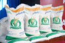 Program bantuan beras 20 kg untuk Keluarga Penerima Manfaat (KPM) digulirkan pemerintah pada Agustus 2025