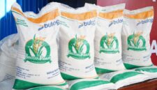 Program bantuan beras 20 kg untuk Keluarga Penerima Manfaat (KPM) digulirkan pemerintah pada Agustus 2025