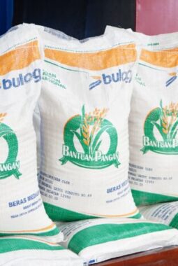 Jadwal dan cara menerima bantuan beras 20 kg untuk KPM Agustus 2025