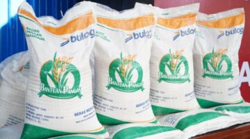 Program bantuan beras 20 kg untuk Keluarga Penerima Manfaat (KPM) digulirkan pemerintah pada Agustus 2025