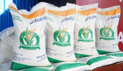Program bantuan beras 20 kg untuk Keluarga Penerima Manfaat (KPM) digulirkan pemerintah pada Agustus 2025