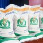 Program bantuan beras 20 kg untuk Keluarga Penerima Manfaat (KPM) digulirkan pemerintah pada Agustus 2025