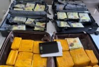 Polisi menyita 60 kilogram sabu dari apartemen di Surabaya yang disewa WN Malaysia Alexander Peter. (Dok-Istimewa)