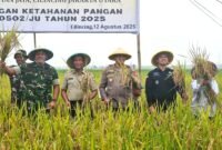 Jajaran Pemkot Jakarta Utara, TNI-Polri, dan Gapoktan Rorotan Jaya saat panen padi bersama di Rorotan, Selasa (12/8/2025). (Humas DKI Jakarta)
