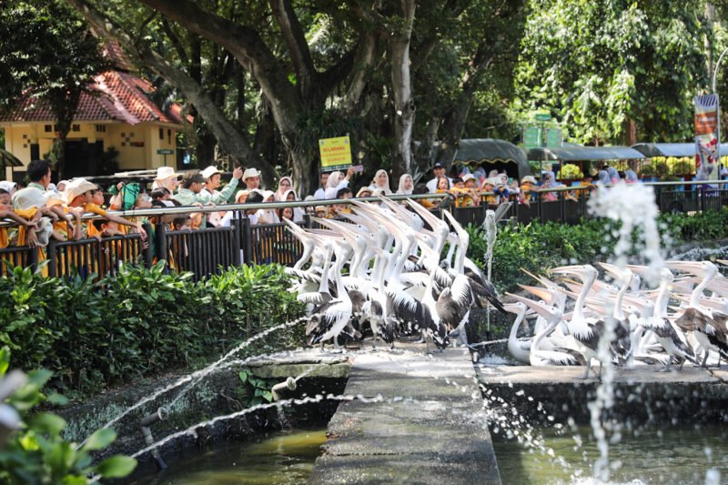 Warga berkunjung ke Taman Margasatwa Ragunan, destinasi wisata favorit Jakarta yang diwacanakan buka hingga malam hari. (Dok-HUmas DKI Jkt)