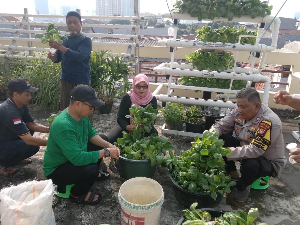 Bhabinkamtibmas Palmerah panen sayur bantu warga mandiri pangan.