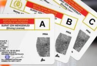 Perpanjangan SIM A dan SIM C kini bisa online lewat aplikasi Digital Korlantas POLRI. (Dok-Polri)